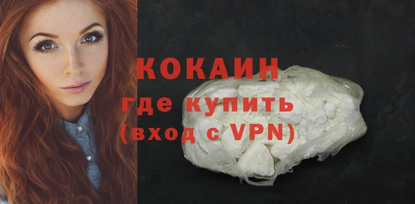 бошки Весьегонск