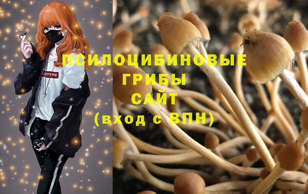 бошки Весьегонск