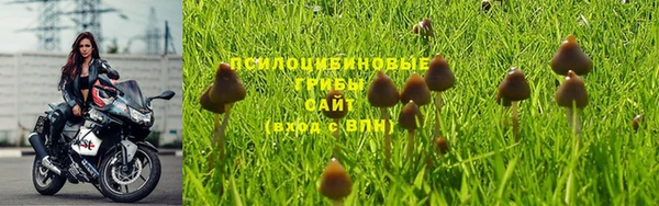 кокаин VHQ Ельня