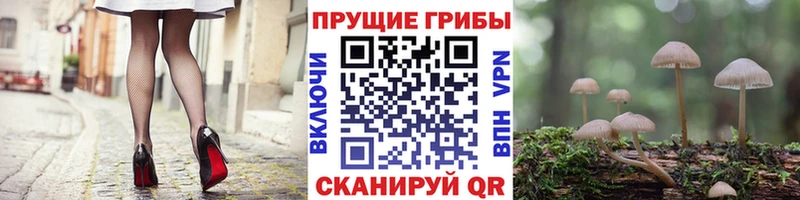 Псилоцибиновые грибы MAGIC MUSHROOMS  Донской 